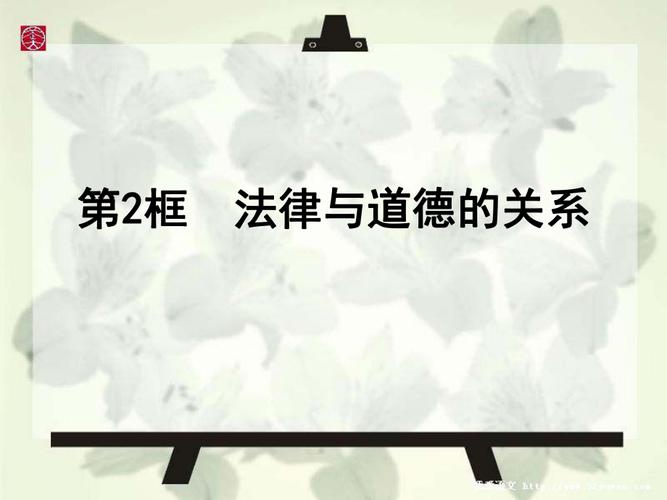 从道德和法律的角度谈谈你的看法