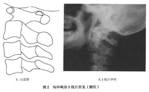 德莱建业股价异动盘中大涨背后的市场解读