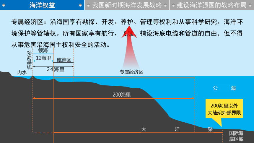 上海黄金期货交易的决策安排如何影响贵金属投资者的策略？这种影响如何进行优化？