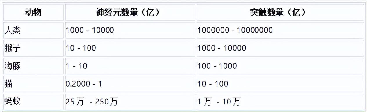 对话周鸿祎：大模型一定会“上车”无人驾驶2年内就能全面实现