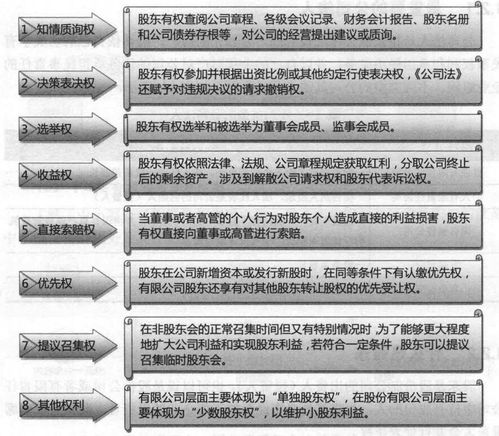 法人股东的定义是什么？这种股东在公司治理中的作用如何？