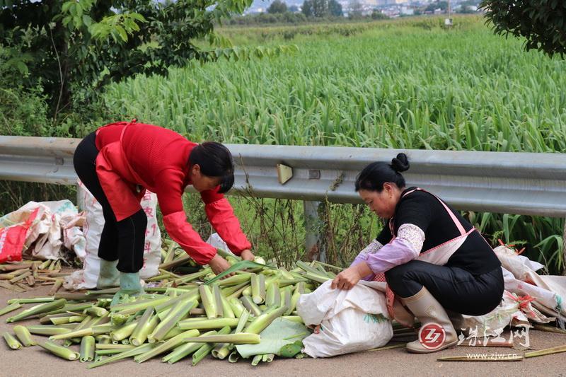 公开揭秘!昆明哪家医院治疗风湿病好-茭白的营养价值及食用禁忌