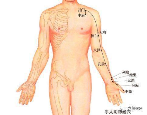 关注！北京哪里能治疗白癜风-背上白癜风属于哪个阶段