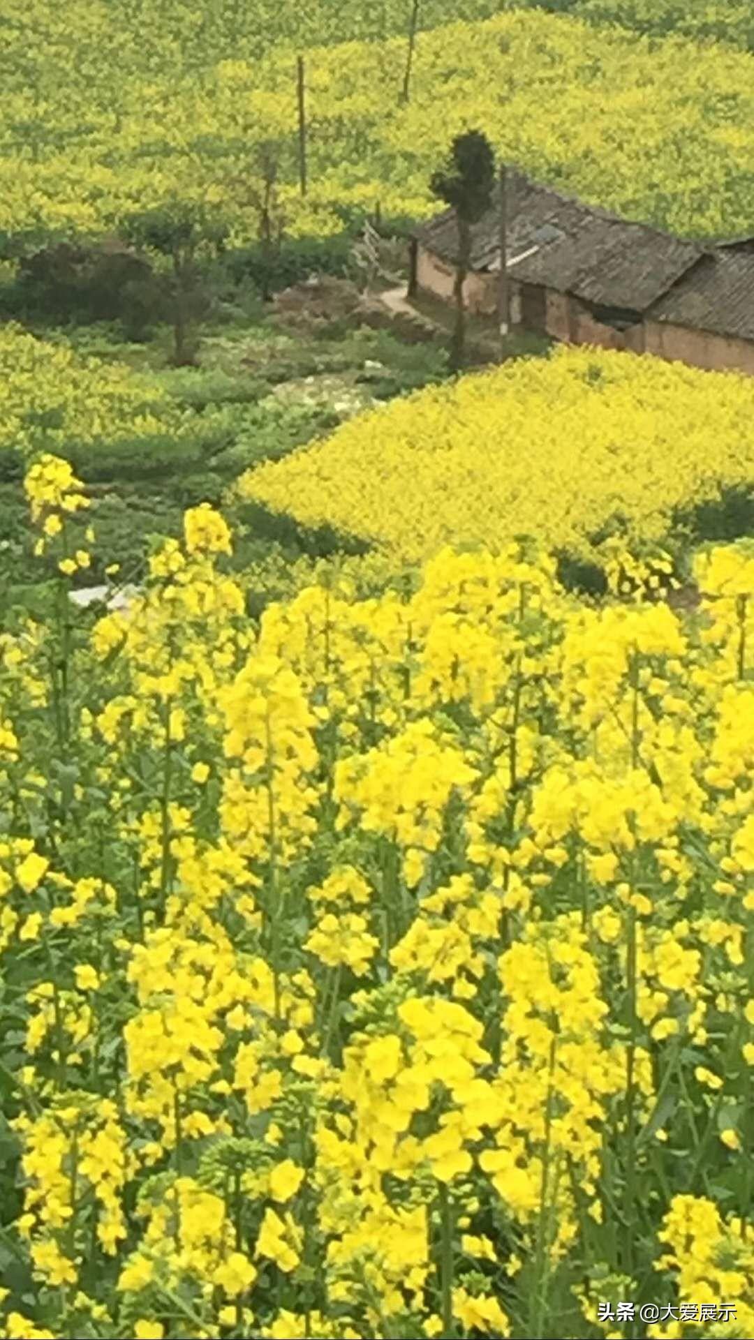 健康快报！成都哪有治疗风湿病的医院-患风湿不能吃什么蔬菜